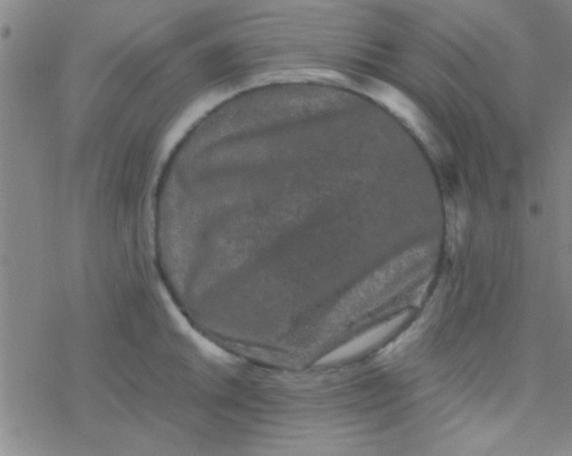 X0000076451046200610271819