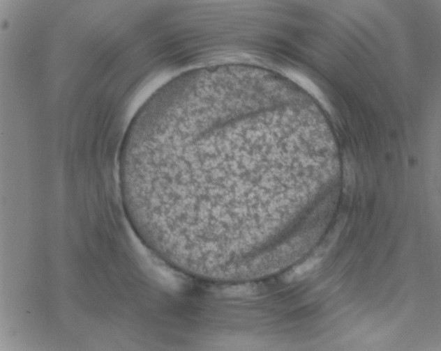 X0000076451047200610271819