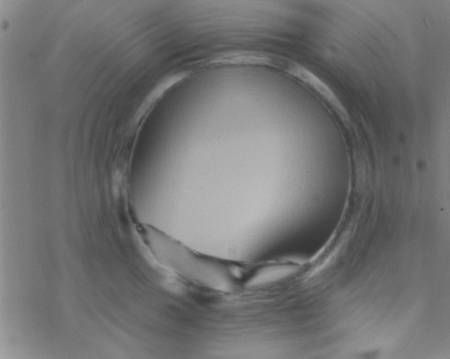 X0000076451049200610271819