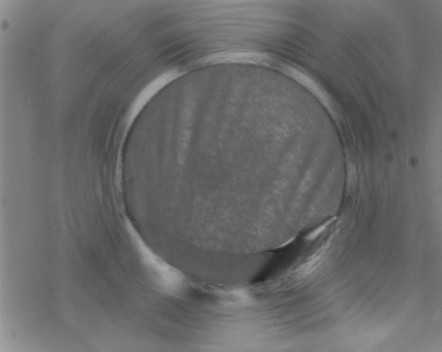 X0000076451050200610271819