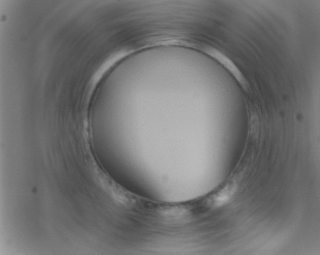 X0000076451051200610271819