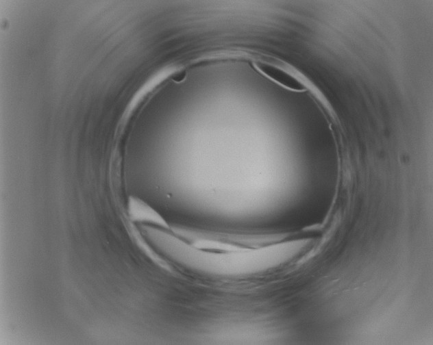 X0000076451053200610271819