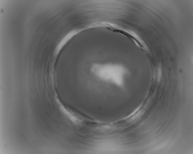 X0000076451054200610271819