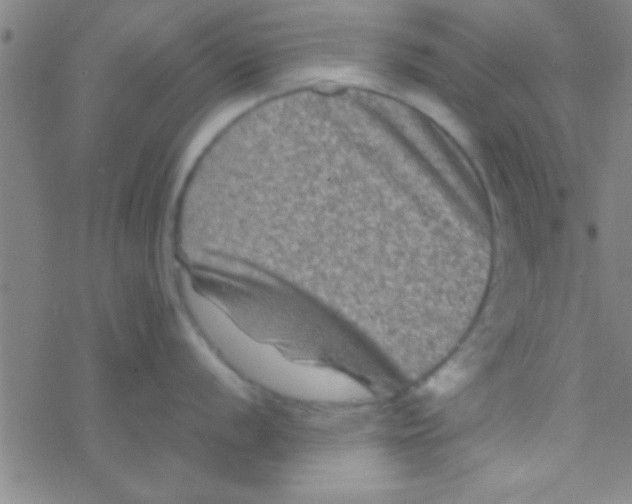 X0000076451056200610271819