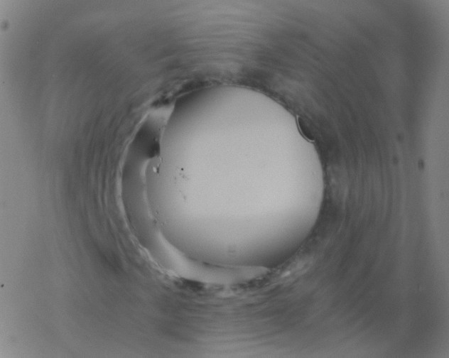 X0000076451057200610271818