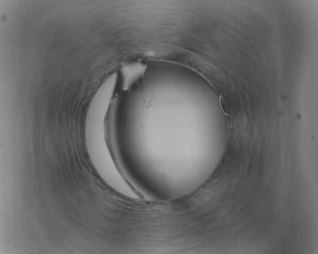 X0000076451058200610271818