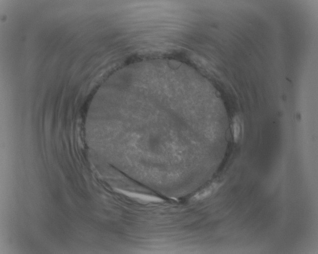 X0000076451059200610271818