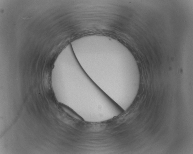 X0000076451060200610271818