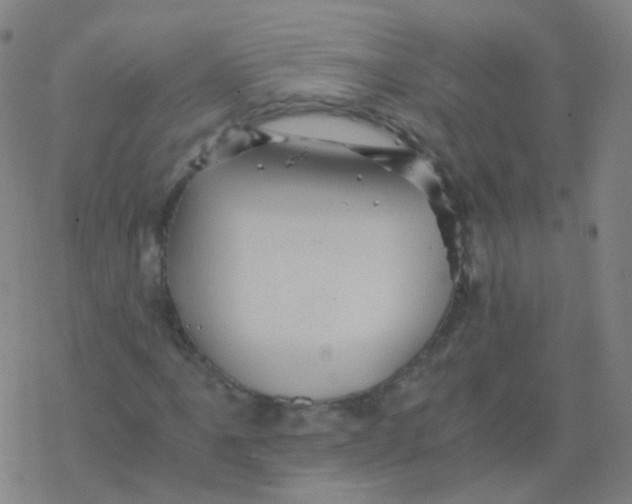 X0000076451061200610271818