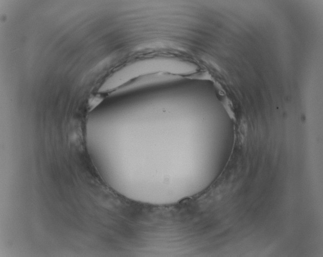 X0000076451062200610271818