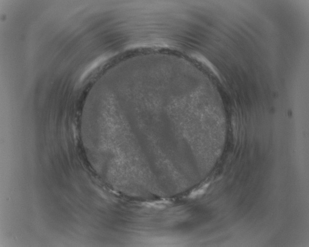 X0000076451064200610271818