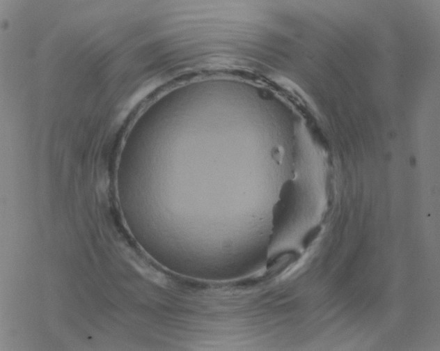 X0000076451065200610271818