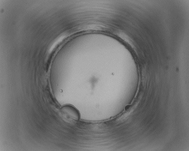 X0000076451067200610271818