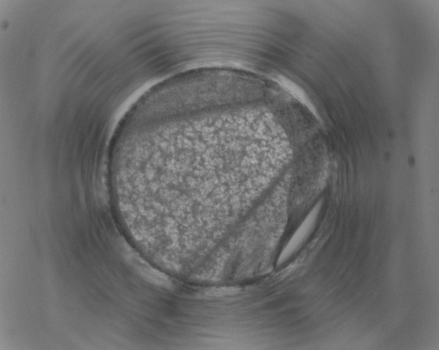 X0000076451068200610271818