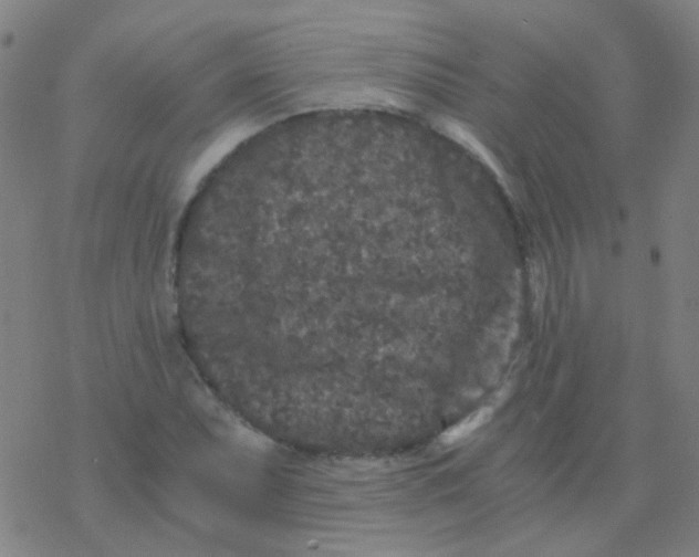 X0000076451071200610271818