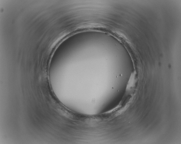 X0000076451073200610271818