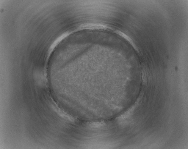 X0000076451074200610271818