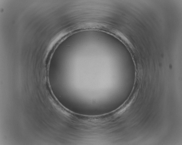 X0000076451075200610271818