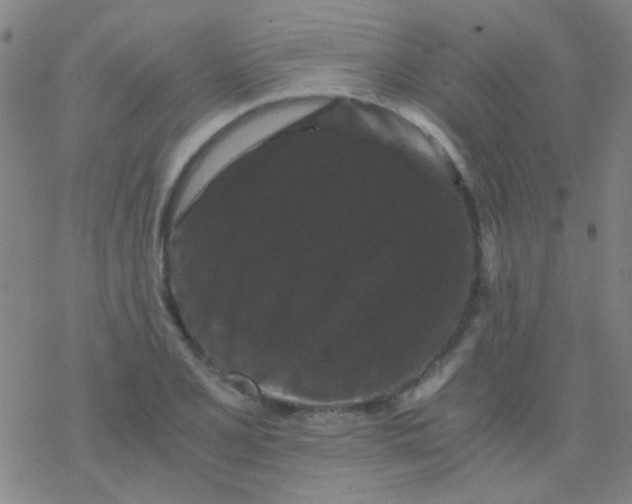 X0000076451077200610271818