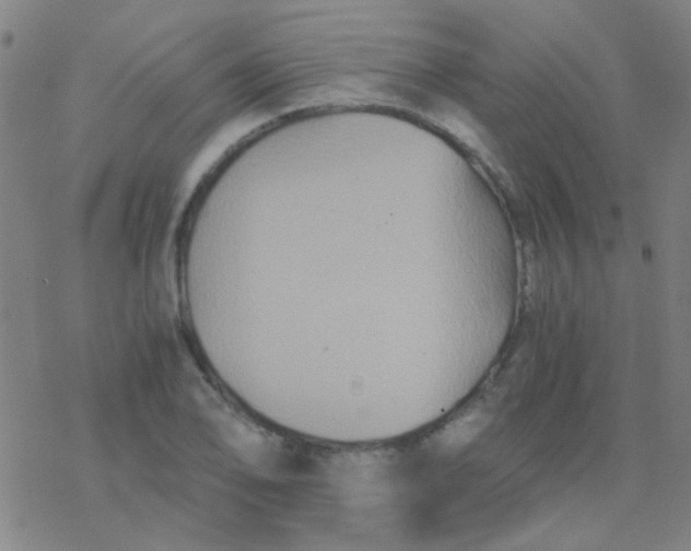 X0000076451078200610271818