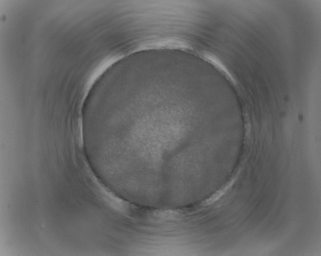 X0000076451079200610271818