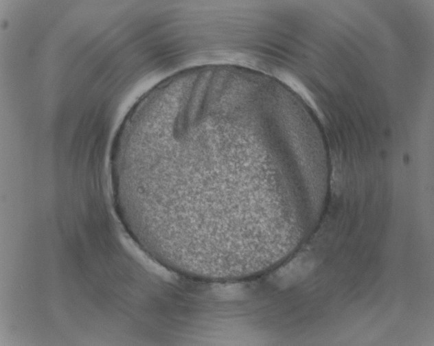 X0000076451080200610271818