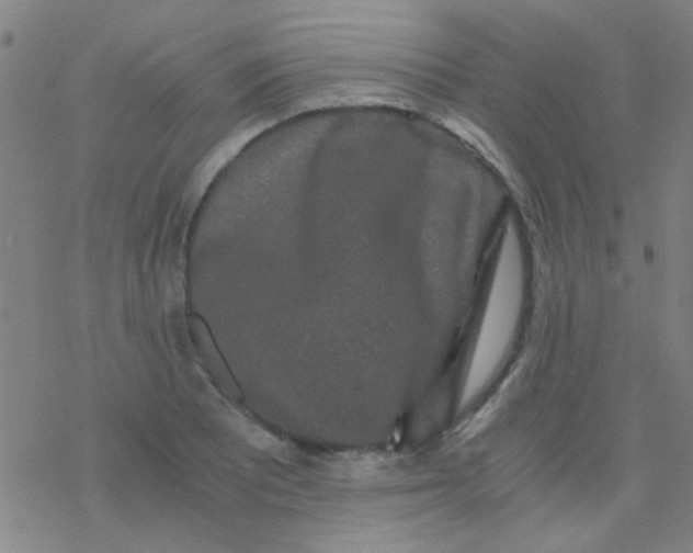 X0000076451081200610271818