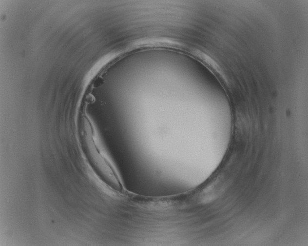 X0000076451082200610271818