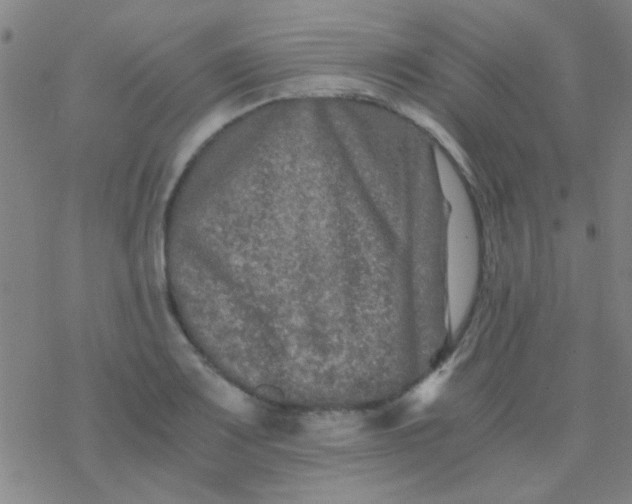 X0000076451083200610271818