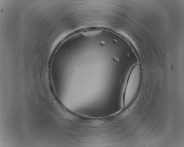 X0000076451085200610271818