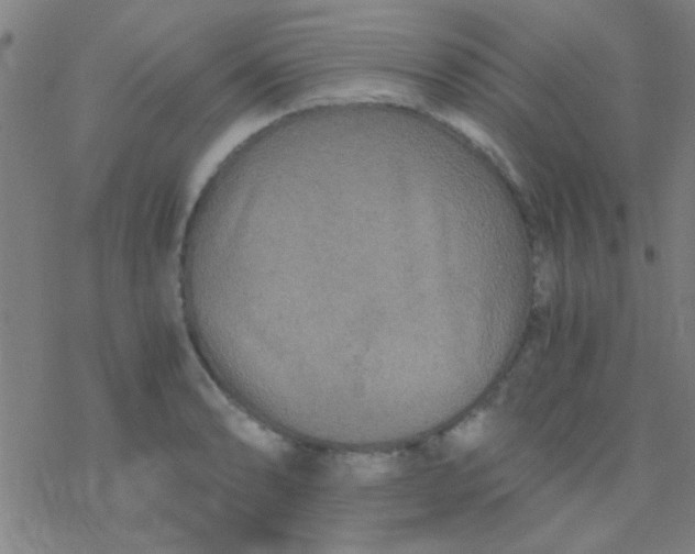 X0000076451086200610271818