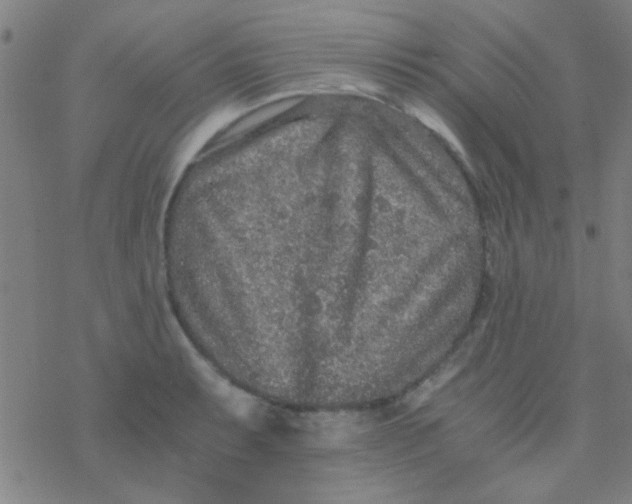 X0000076451087200610271818