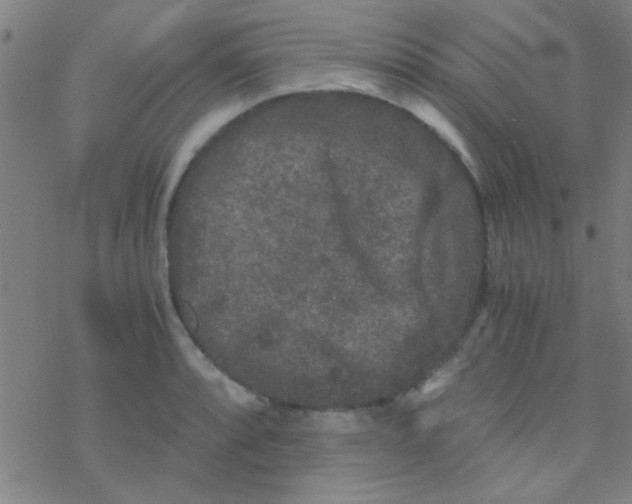 X0000076451088200610271818