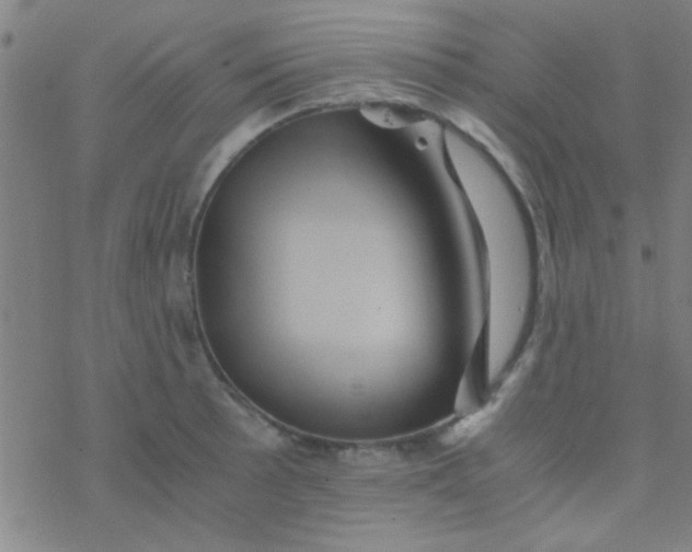 X0000076451089200610271818