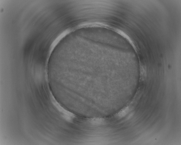 X0000076451090200610271818