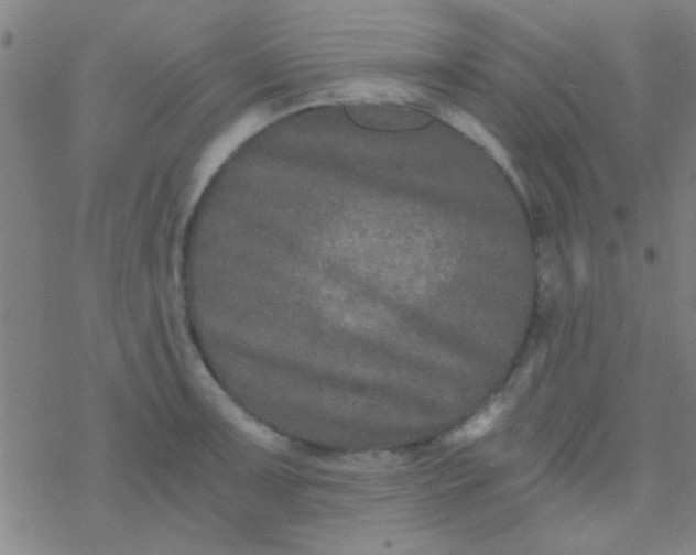 X0000076451091200610271818