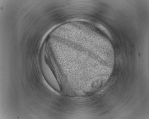 X0000076451092200610271818