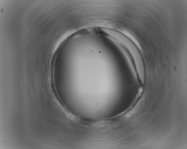 X0000076451093200610271818