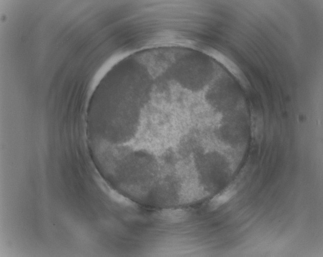 X0000076451094200610271818