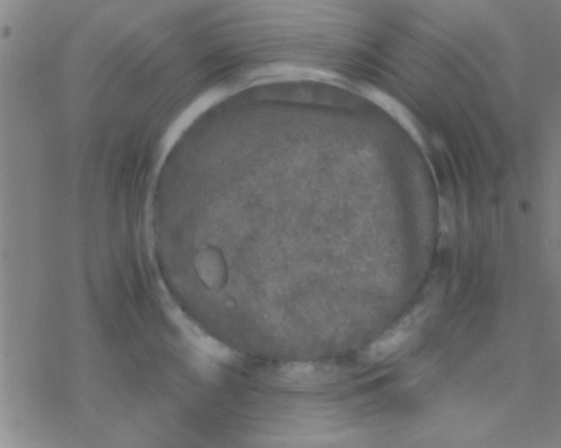 X0000076451098200610271818