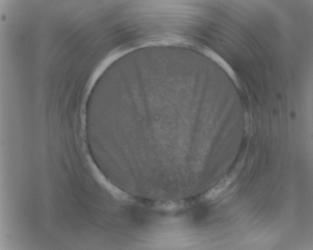 X0000076451099200610271818