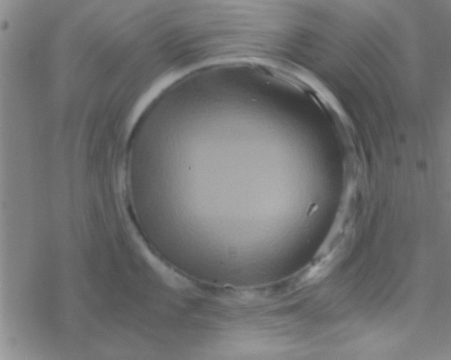 X0000076451101200610271818