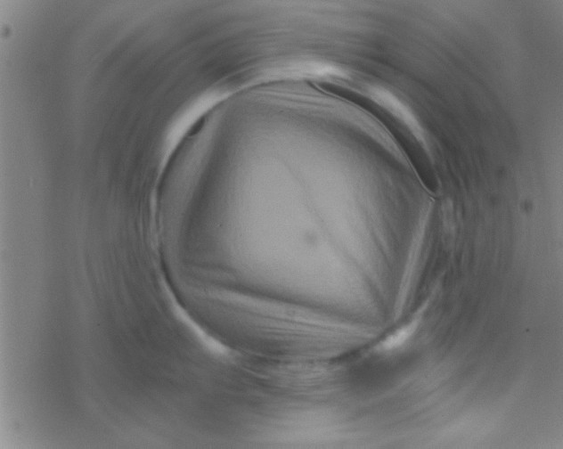 X0000076451103200610271817