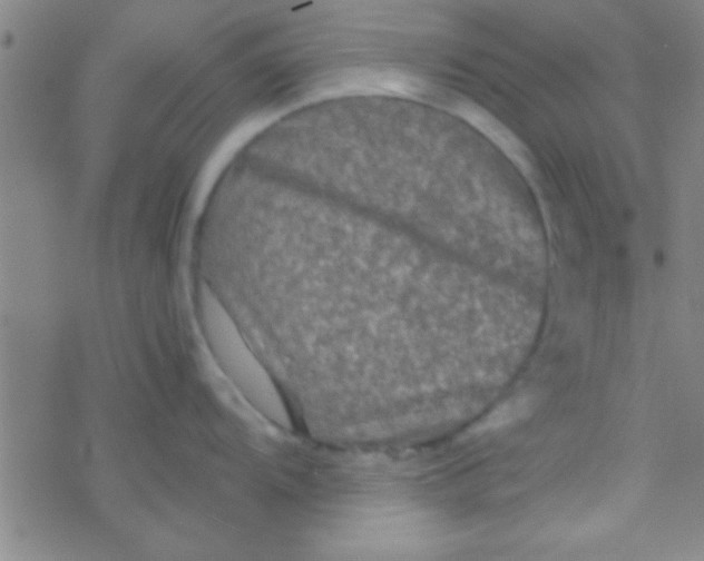 X0000076451104200610271817