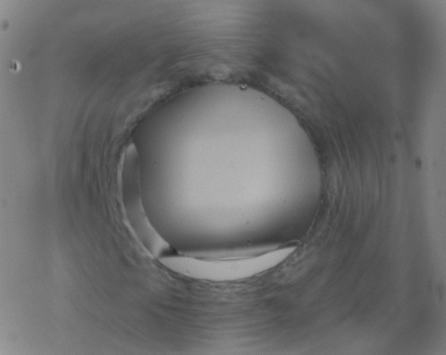 X0000076451105200610271817