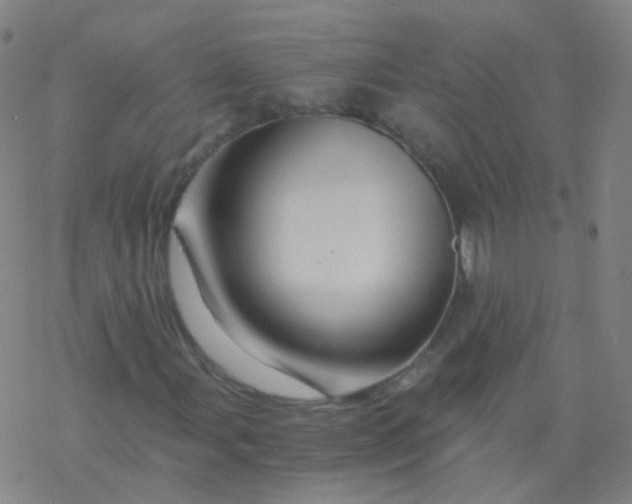 X0000076451107200610271817