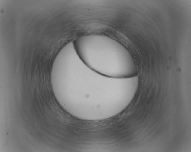 X0000076451108200610271817