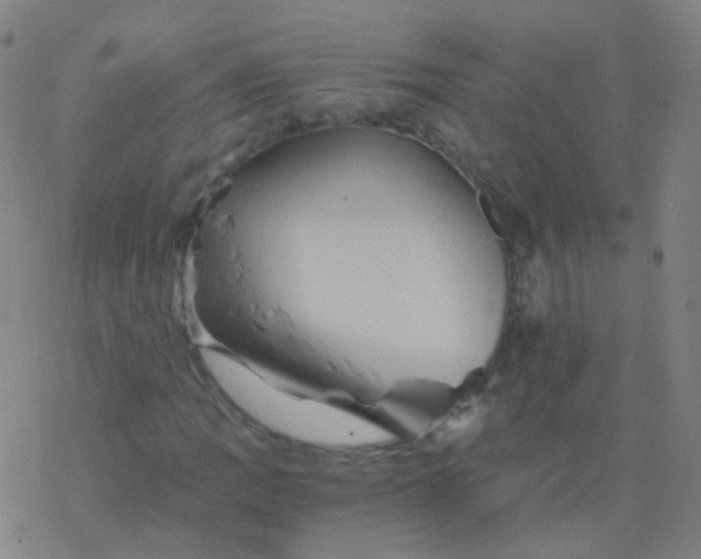 X0000076451109200610271817