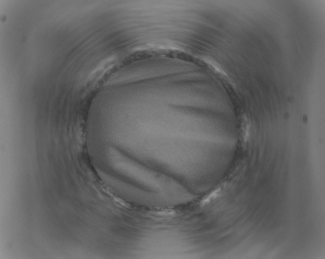 X0000076451110200610271817