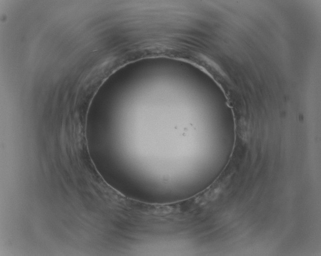 X0000076451111200610271817